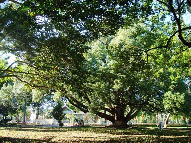 PK_GhiNhanh-08